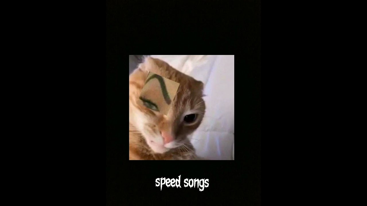 Diogo Nogueira - Pé na areia (speed up)