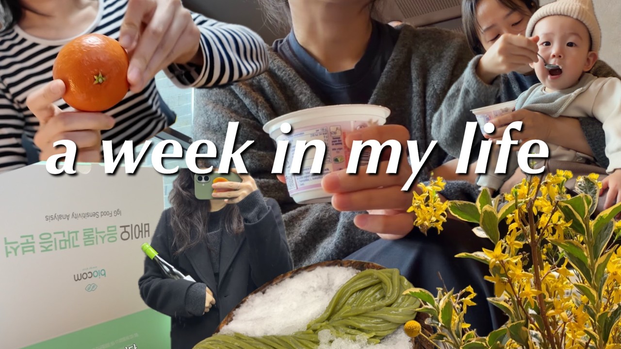 vlog. 신년회ㅣ바이오 음식물 과민증 분석ㅣ오제제ㅣ테라로사ㅣ고추장찌개ㅣ진짬뽕ㅣ마켓컬리
