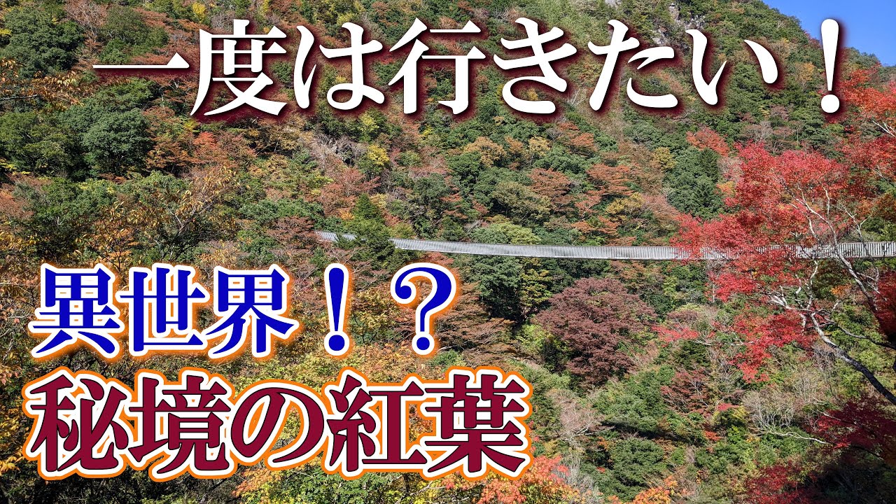 【熊本】梅の木轟公園吊橋２　編　（ Vol.351 ）／これぞ秘境、五家荘の紅葉！【4K空撮】