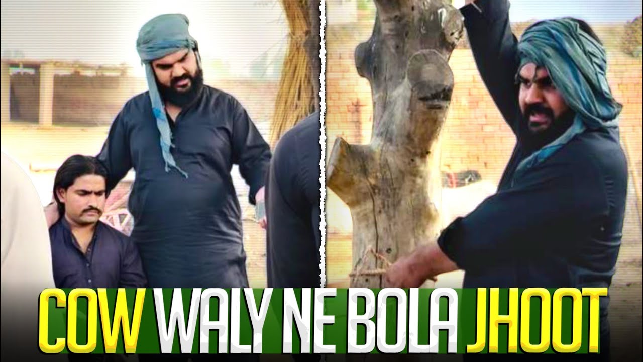 Cow Waly Ne Bola Jhoot Wait For End 🥰