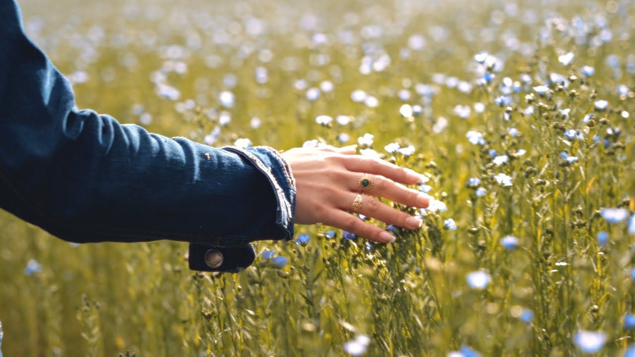 Posez vos valises en Plateau de Caux, Pays du Lin !