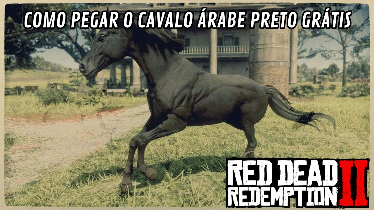 Red Dead Redemption 2 - Como pegar o Cavalo Puro Sangue Árabe Preto !!!