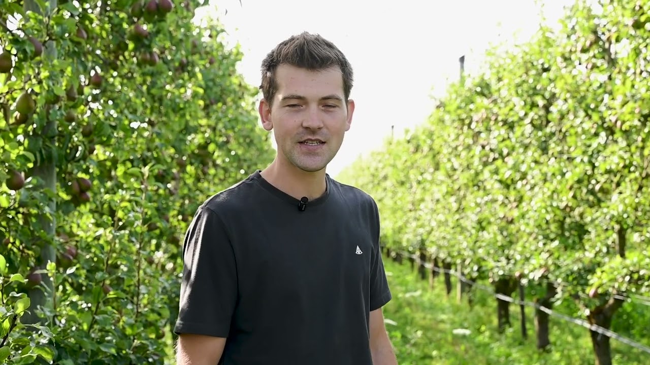 Regeneratieve fruitteelt: zo gingen Gerard en Ivan van VerKen Bio Deli-Vers aan de slag