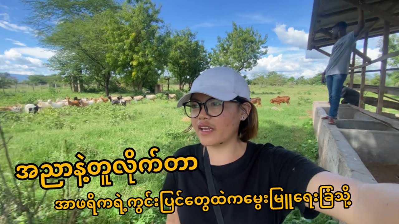ခြံထဲသွားပီးချက်ပြုတ်စားသောက်ကြ | living with local family in Tanzania Part-4