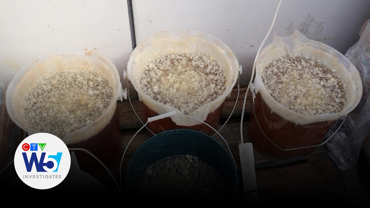 Cartel Canada | W5's Avery Haines investigates a Canadian meth pipeline