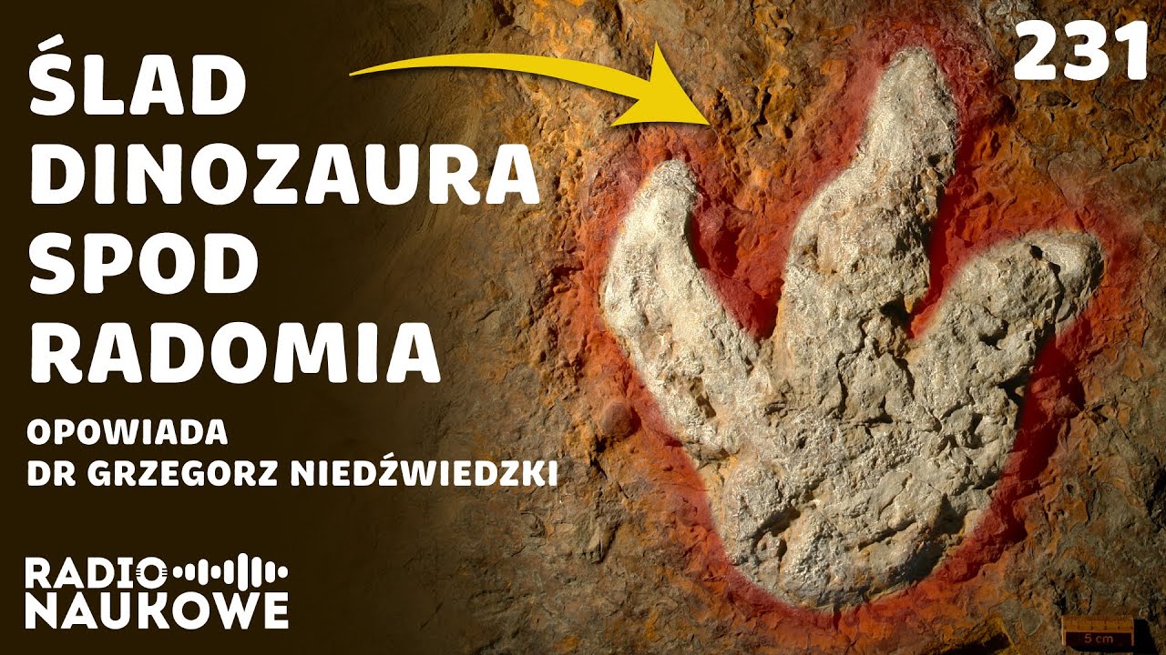 Dinozaury – dlaczego zdominowały Ziemię? | dr Grzegorz Niedźwiedzki