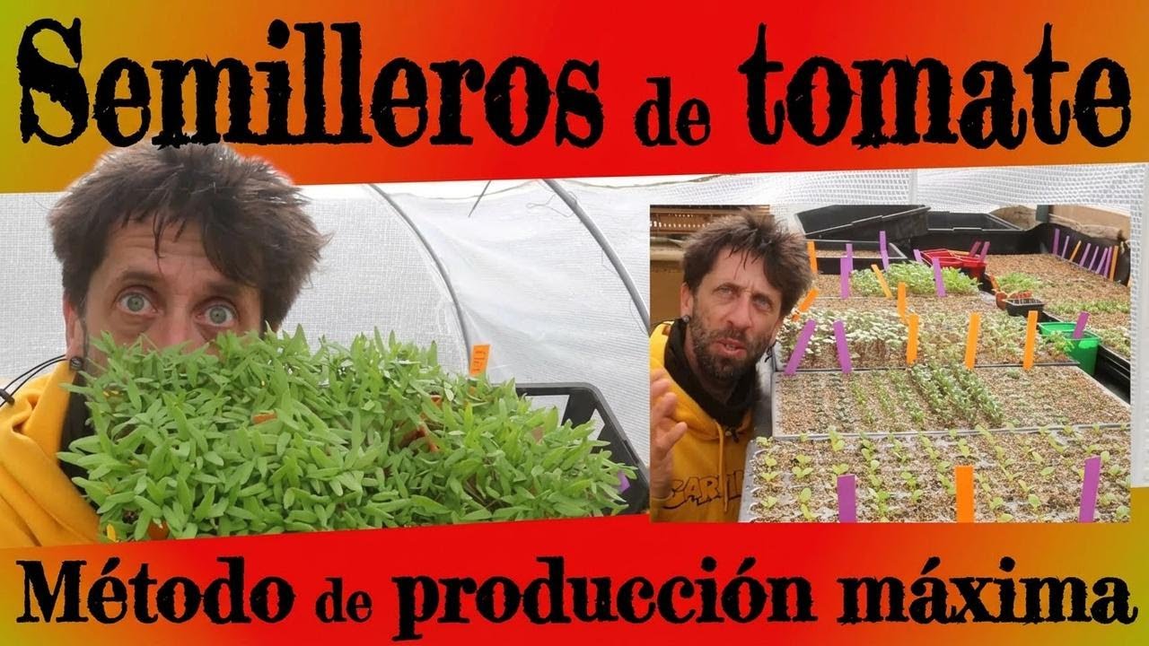 Cómo conseguir más tomates: mi método para sembrarlos al máximo