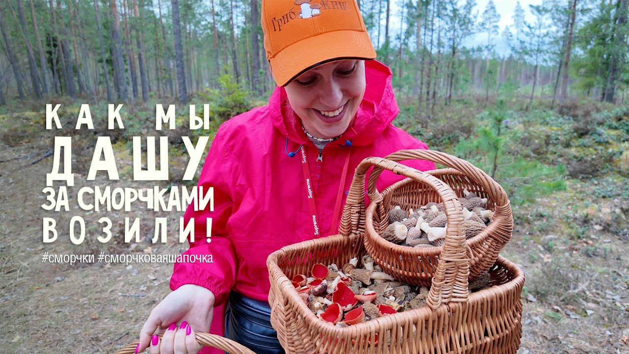 Как мы Дашу за сморчками возили. Первые СМОРЧКИ и СМОРЧКОВАЯ ШАПОЧКА. 07.04.24