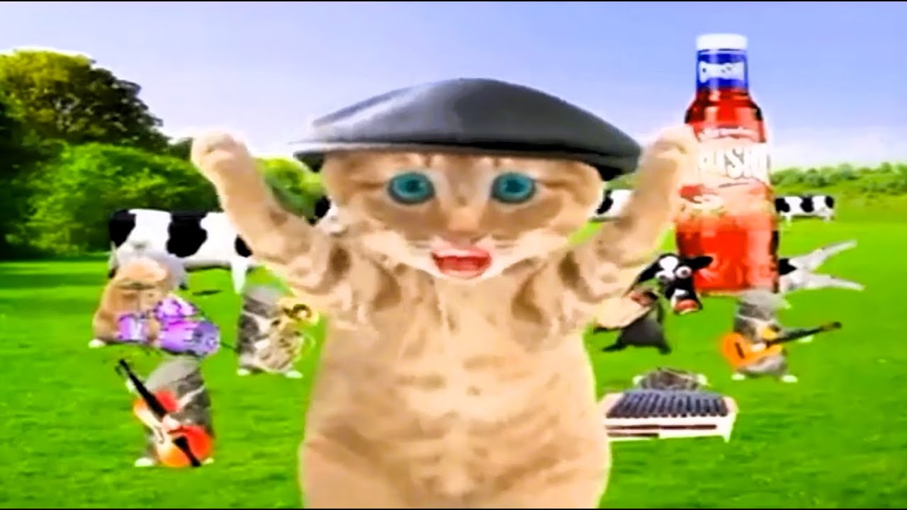 Classic funny Crusha Kittens Advert. 2003 (Full Ad / UK)