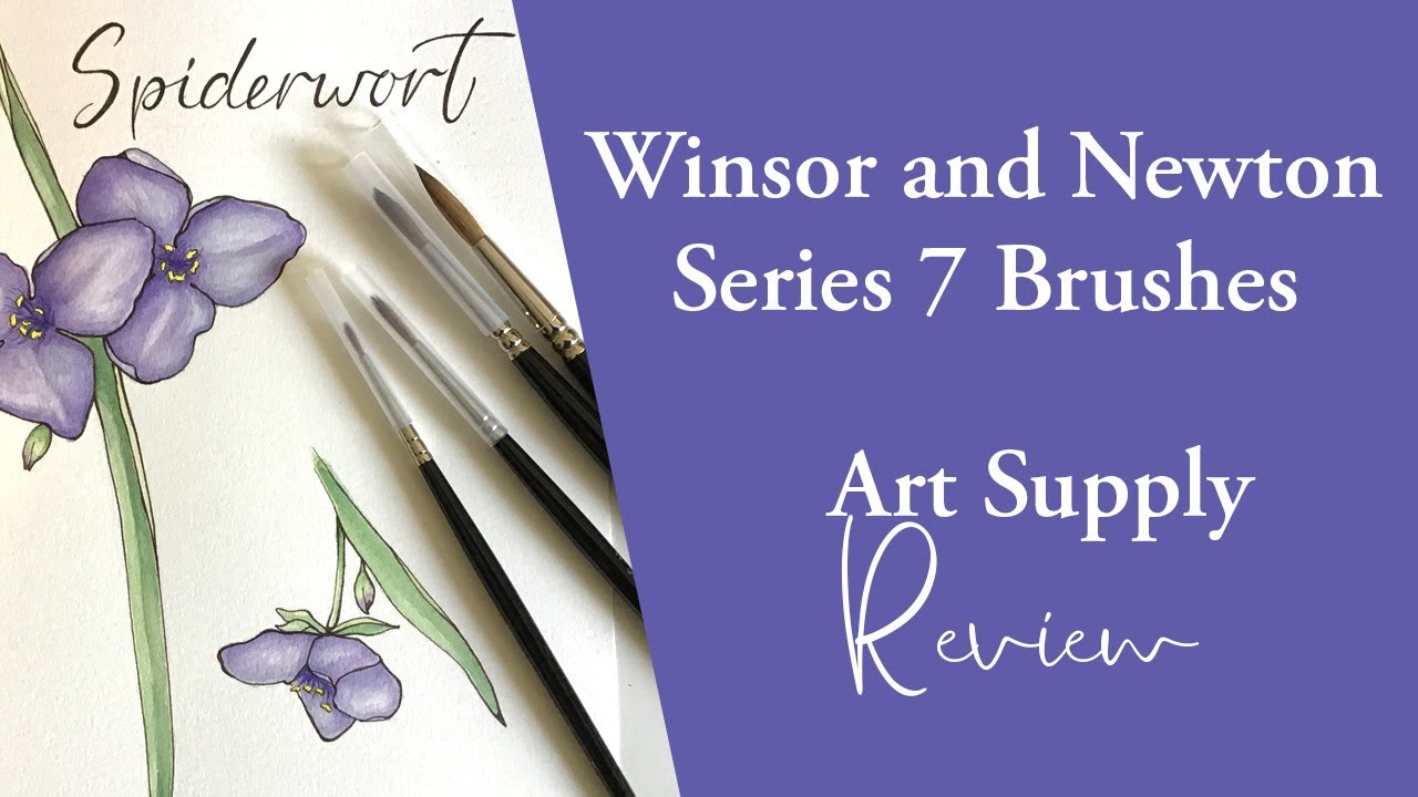 Winsor and Newton Series 7 Brush Review and Watercolor Painting