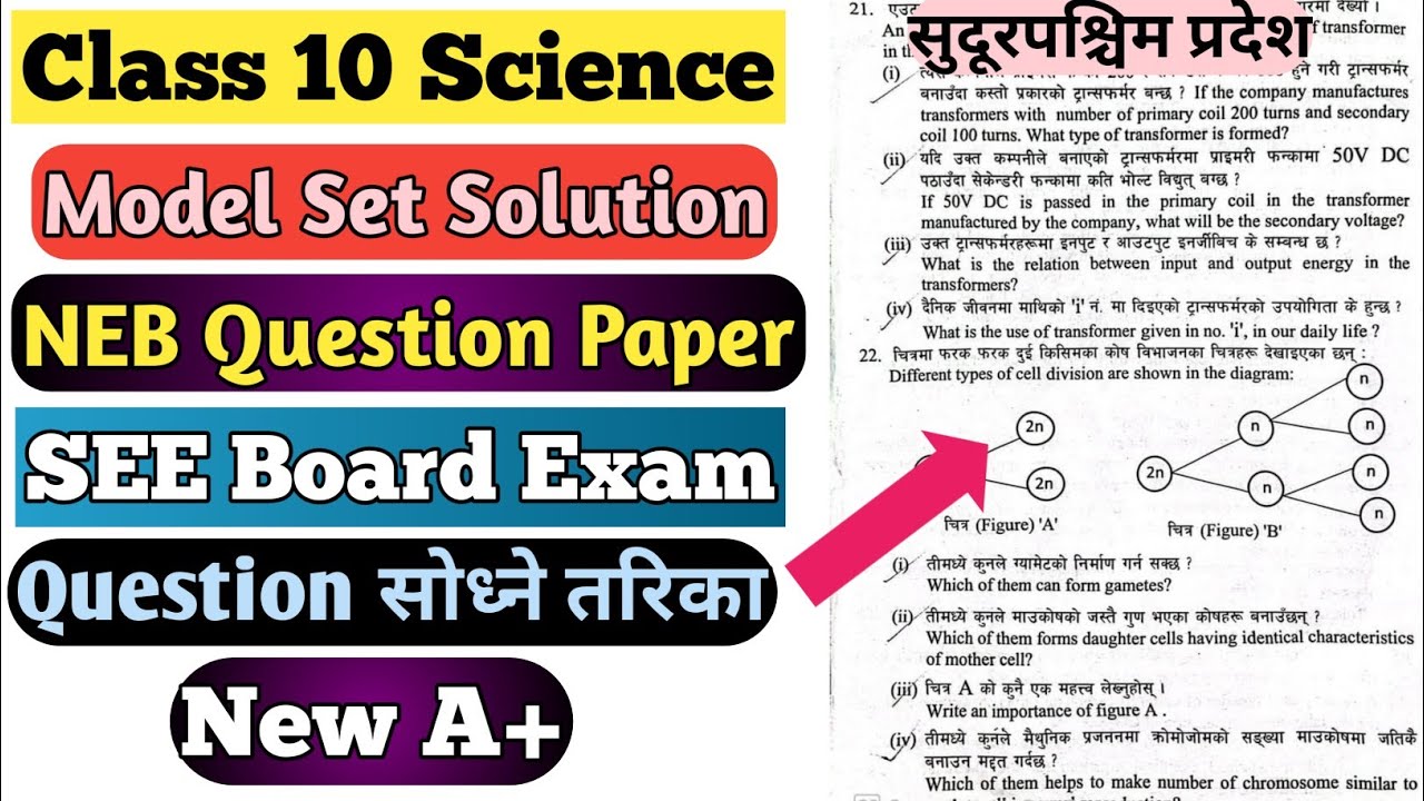 Class 10 Science New Model Set Solution| SEE Board Exam| Question by NEB|
