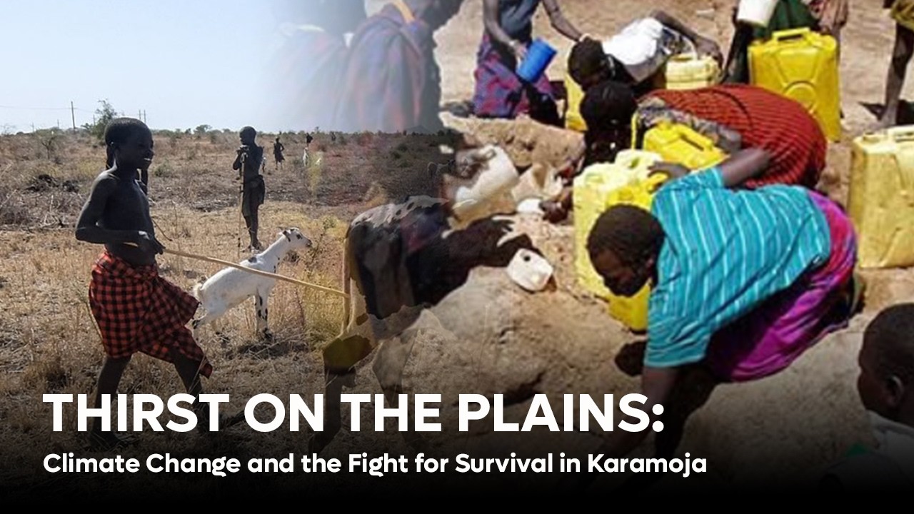 THIRST ON THE PLAINS: Climate Change and the Fight for Survival in Karamoja #viral #climatechange