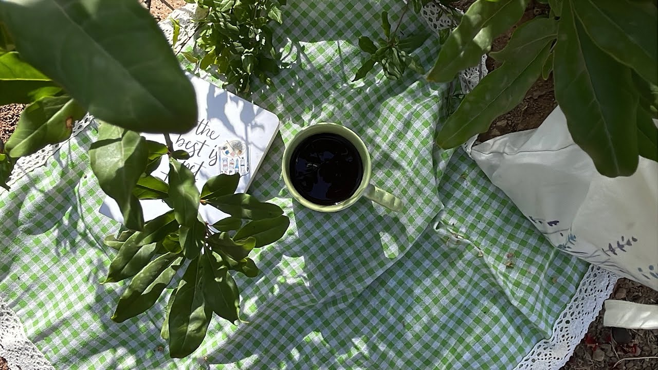 أجواء الطبيعه🍃☀️☕️🤍#فلوق