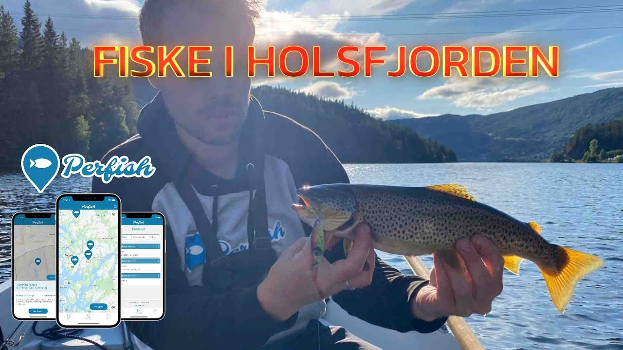 &Oslash;rretfiske i Holsfjorden!   Aure | &Oslash;stre Hol JFF  |Perfish Fiskekort |  Hallingwobbler | Spinn Craft
