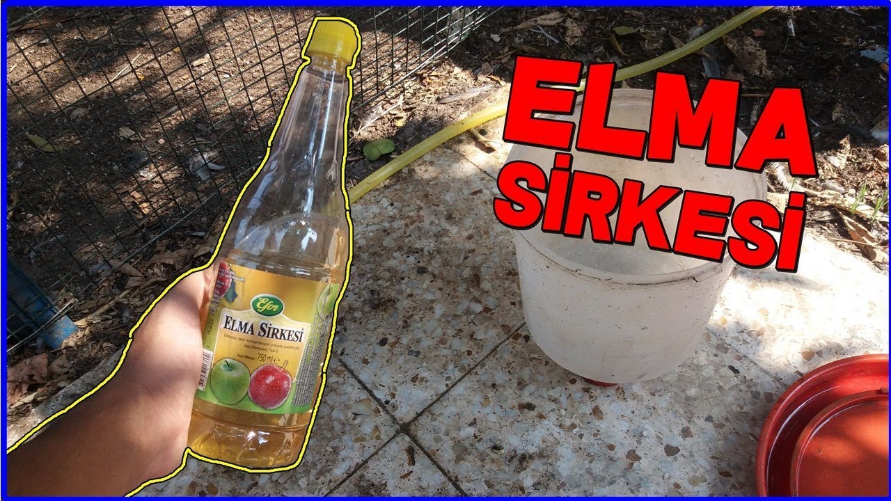 Hayvanlara Elma Sirkesi Vermenin Faydaları !
