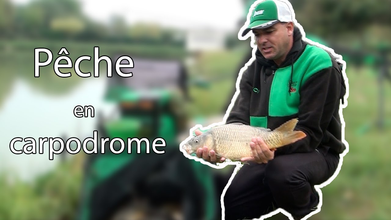 Pêcheurs de Vaucluse #4 : Carpodrome avec Benoît Pedretta
