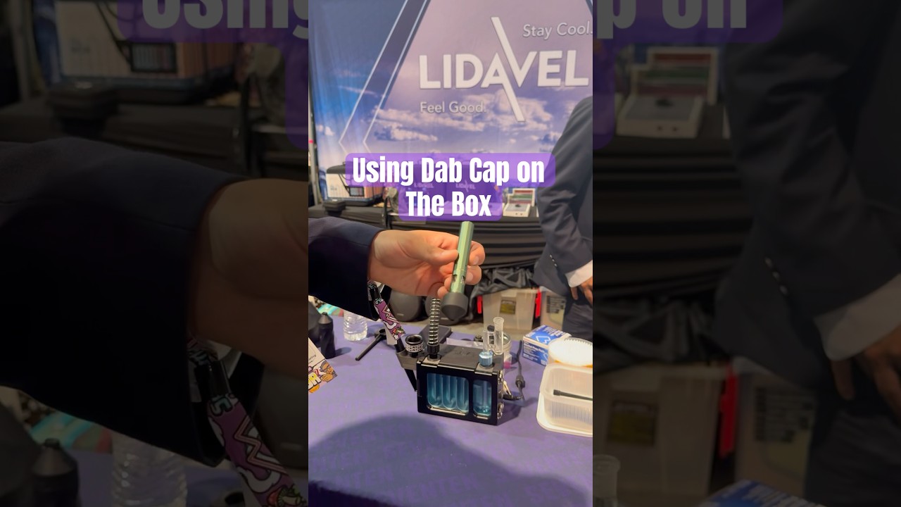 Taking Blinkers on The Box &mdash; Dab Cap x The Box by LidaVel