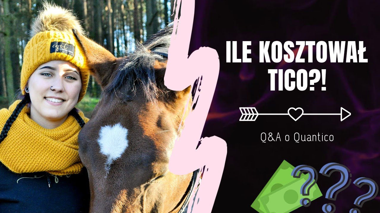 ILE KOSZTOWAŁ QUANTICO 🤑 | Q&A - odpowiadam na Wasze najciekawsze pytania o mojego konia 🐴
