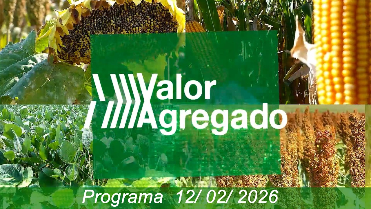 VALOR AGREGADO 12 02 2026