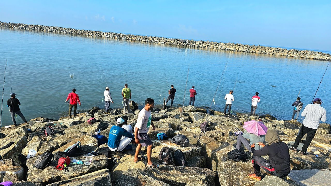 സബികി എങ്ങനെ ഉപയോഗിക്കാം🦈 വന്നവർക്കെല്ലാം മീൻ ചാകര💥Sabiki Fishing,Fishing tips,fishing tricks,sabiki