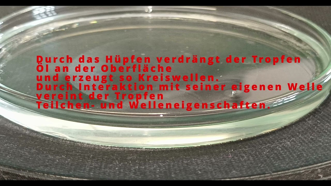 #sons2023: Walking Droplets