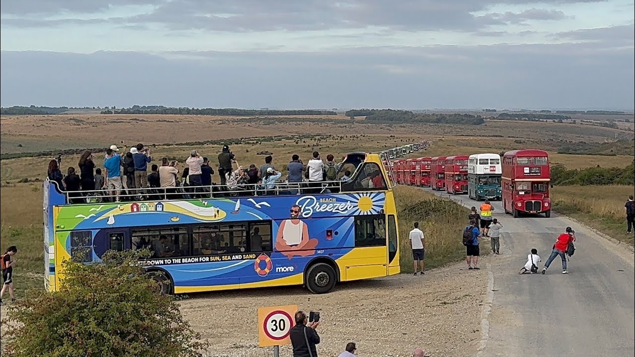 Imberbus 2025 The Finale