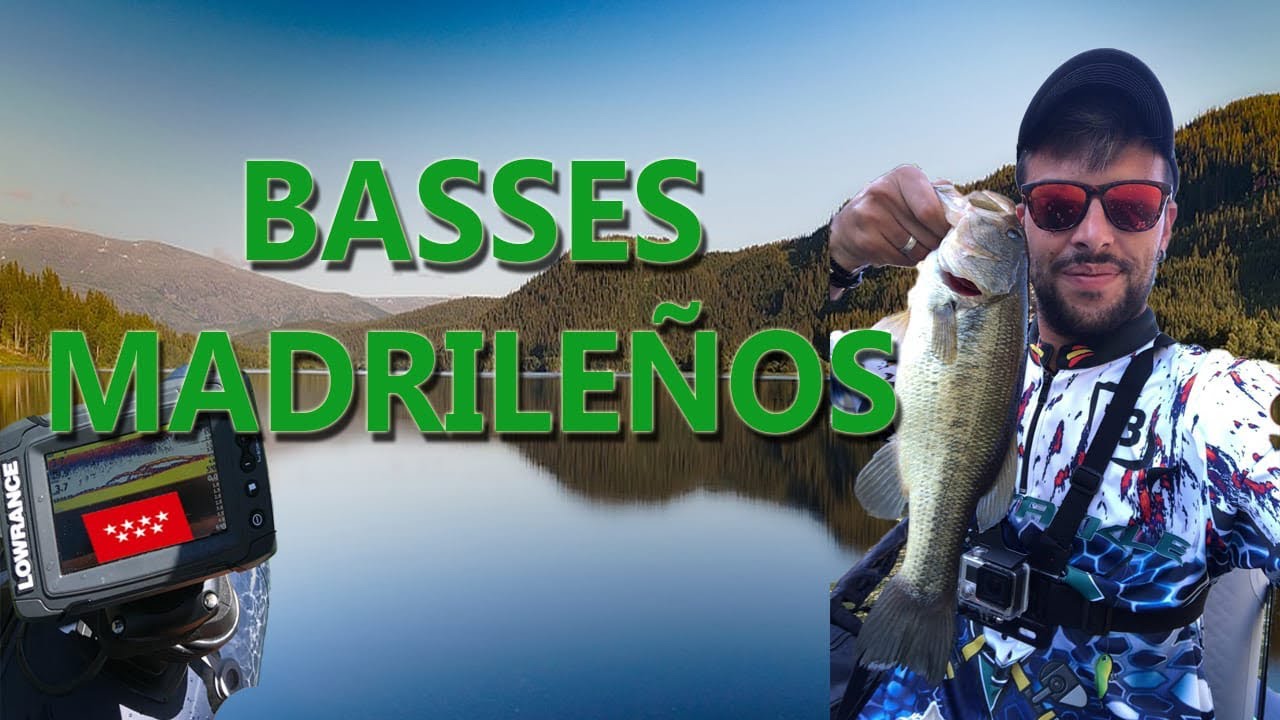 Pesca de Black Bass en Madrid