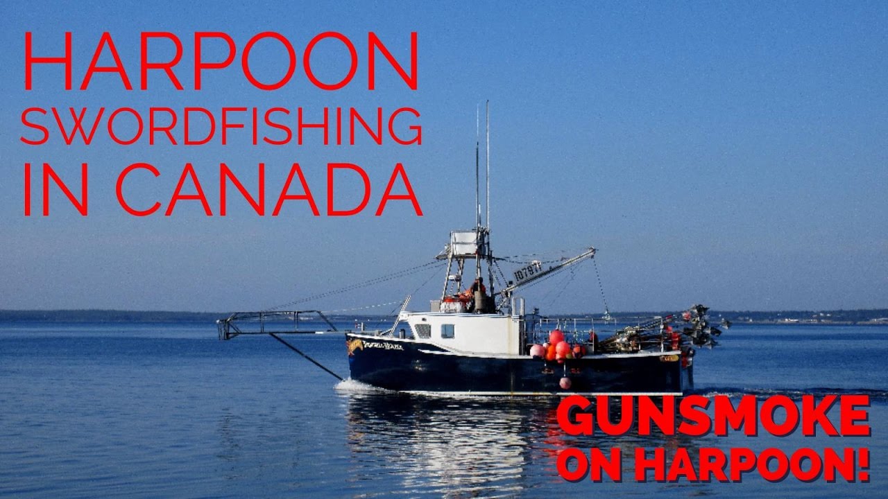 Swordfish Fishing