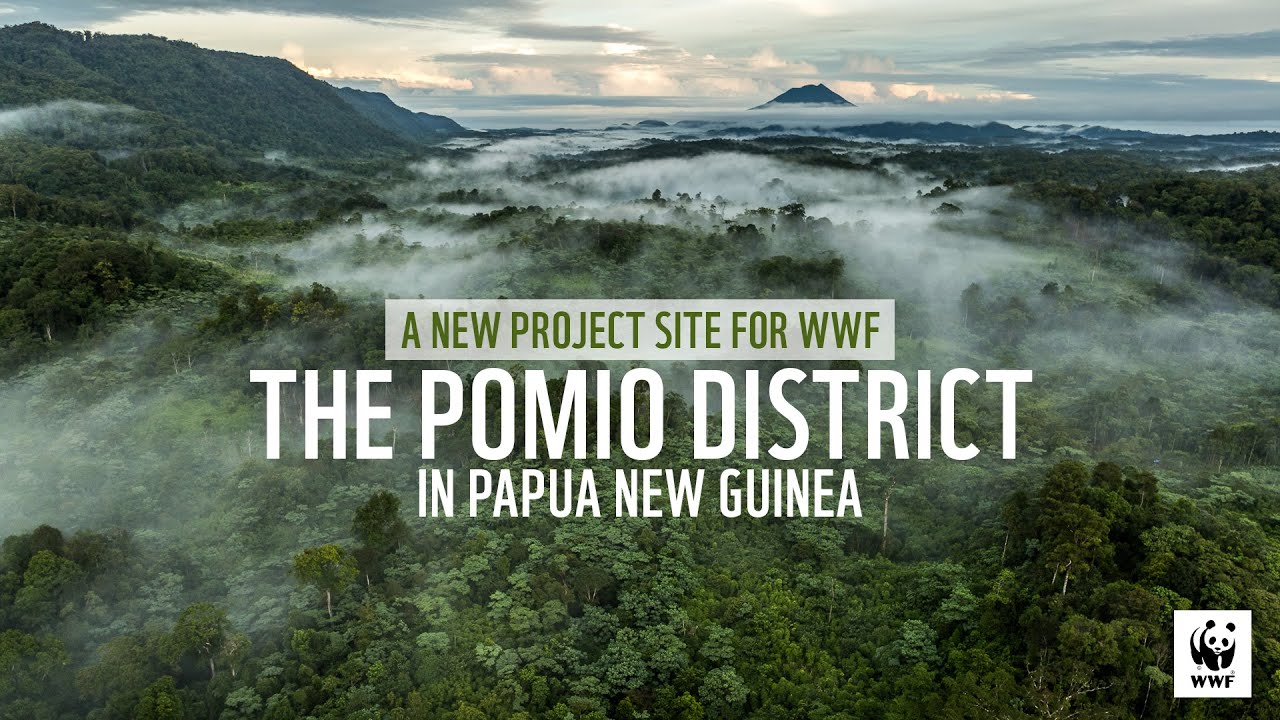 The Pomio District in Papua New Guinea - A new Project Site for WWF
