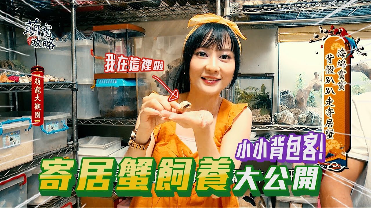 萌寵攻略｜第九集－解密小小背包客