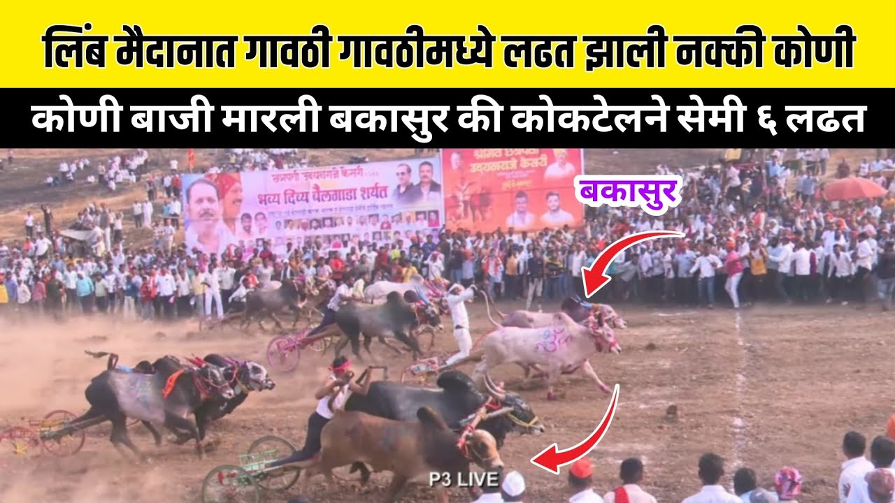 गावठी गावठी मध्ये लढत झाली कोणी बाजी मारली बकासुर की कोकटेलने सेमी क्रमांक ६ लढत लिंब मैदान