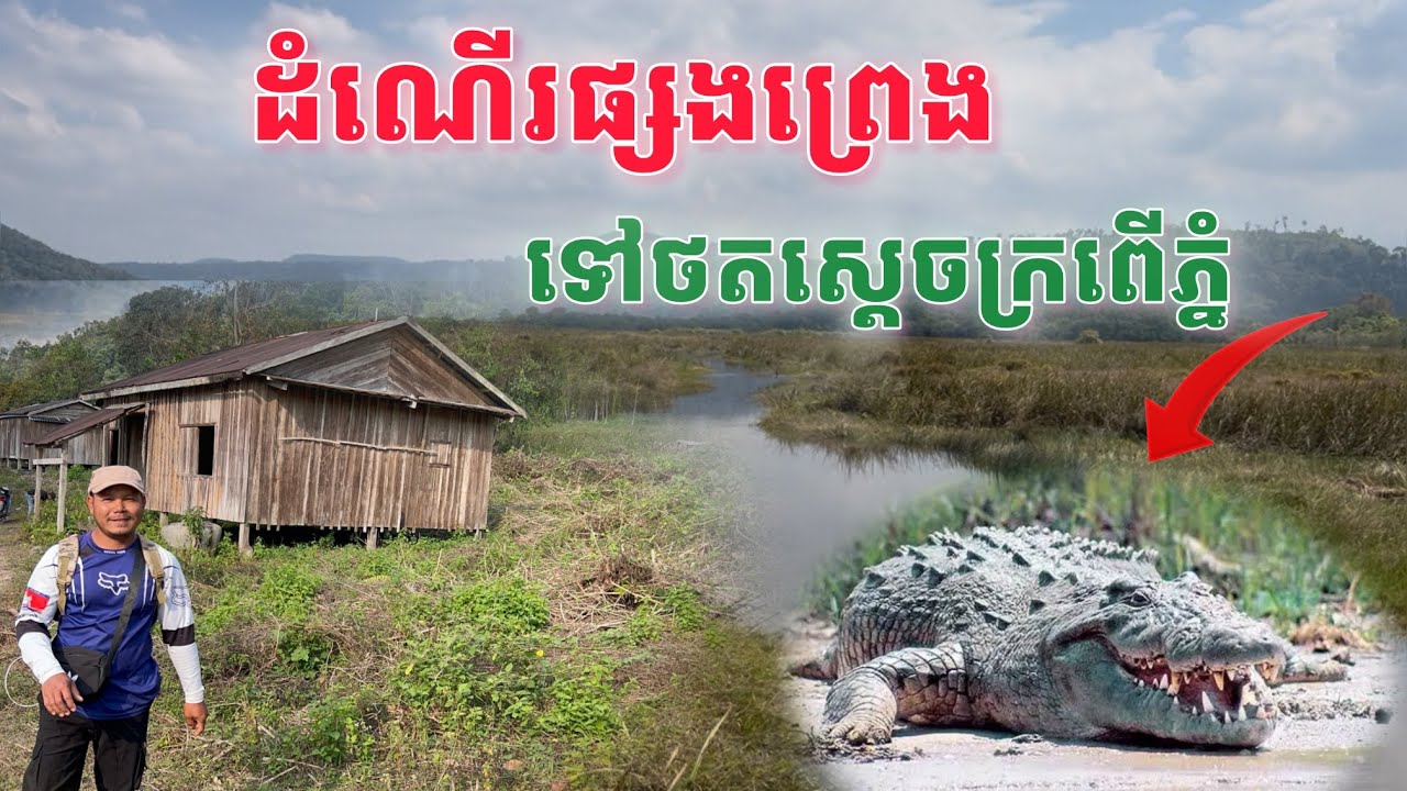 ដំណើរផ្សងព្រេងទៅថតស្តេចក្រពើភ្នំ