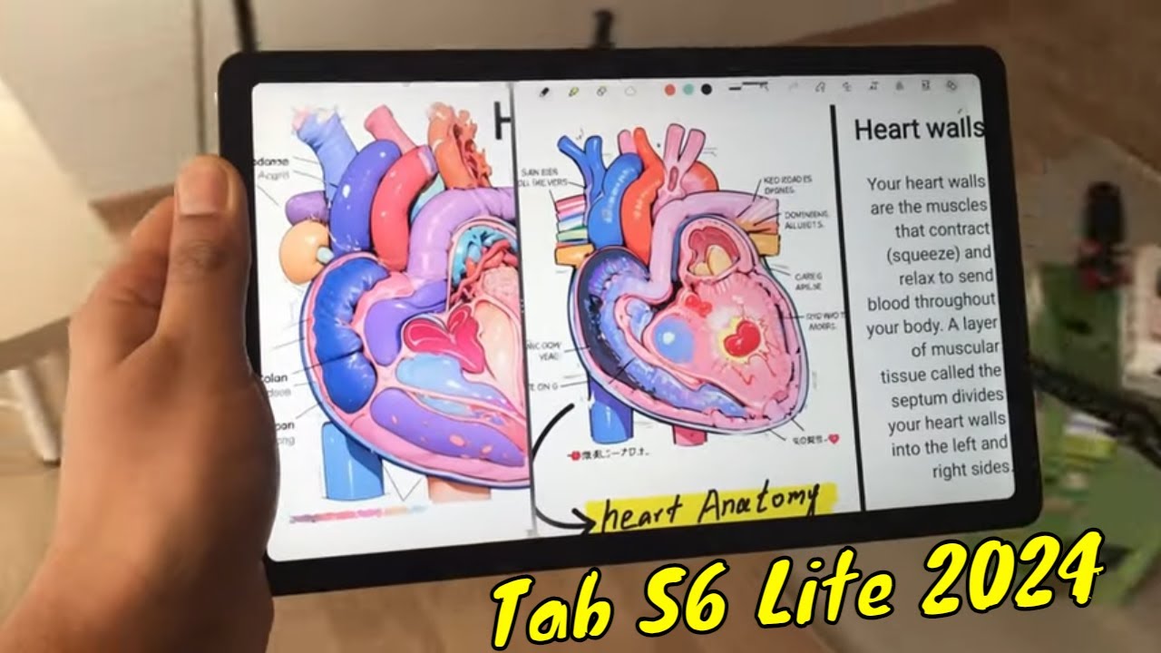 Samsung Galaxy Tab S6 Lite 2024 Edition - 20 Powerful Features