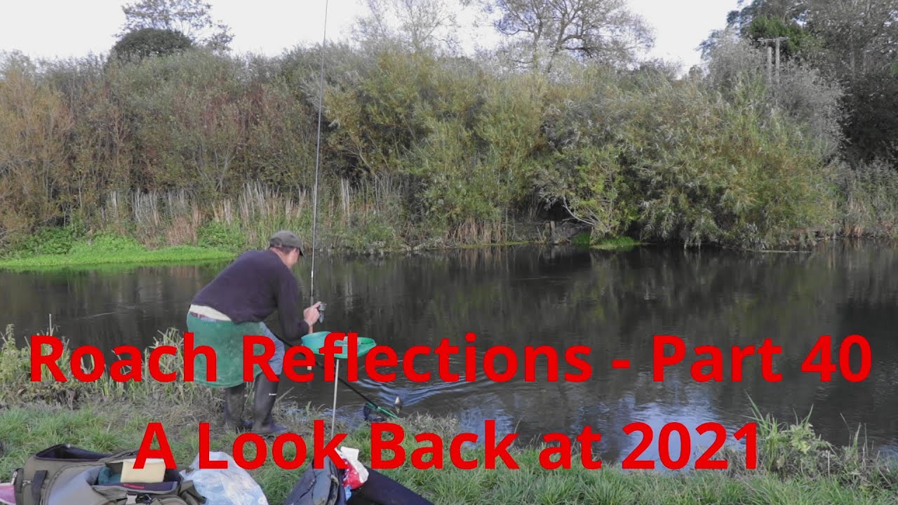 Roach Reflections - Part 40 - A Look Back at 2021