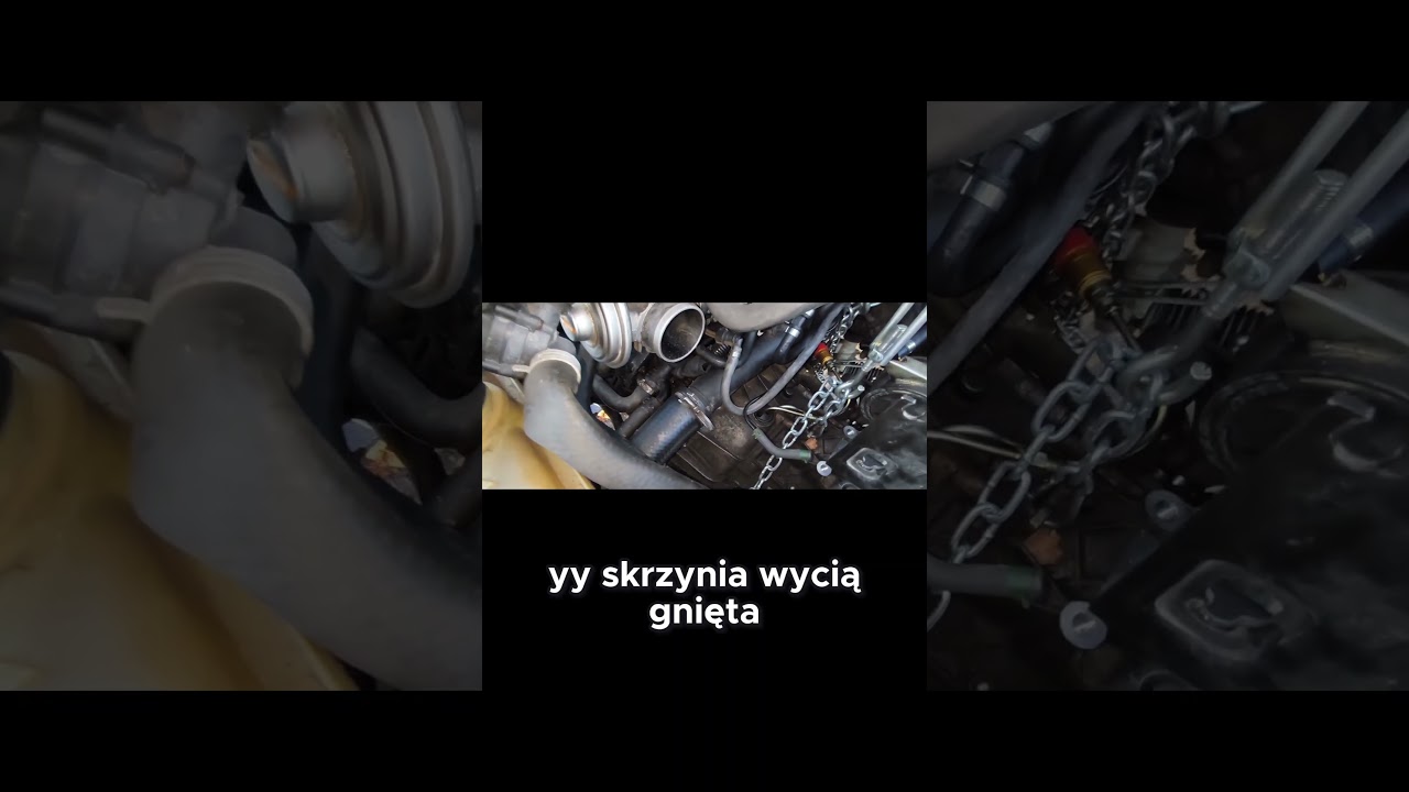 👉 Rover 75 w serwisie! Wyciągamy skrzynię bieg&oacute;w i zaglądamy do silnika 🔧🔥#Rover75