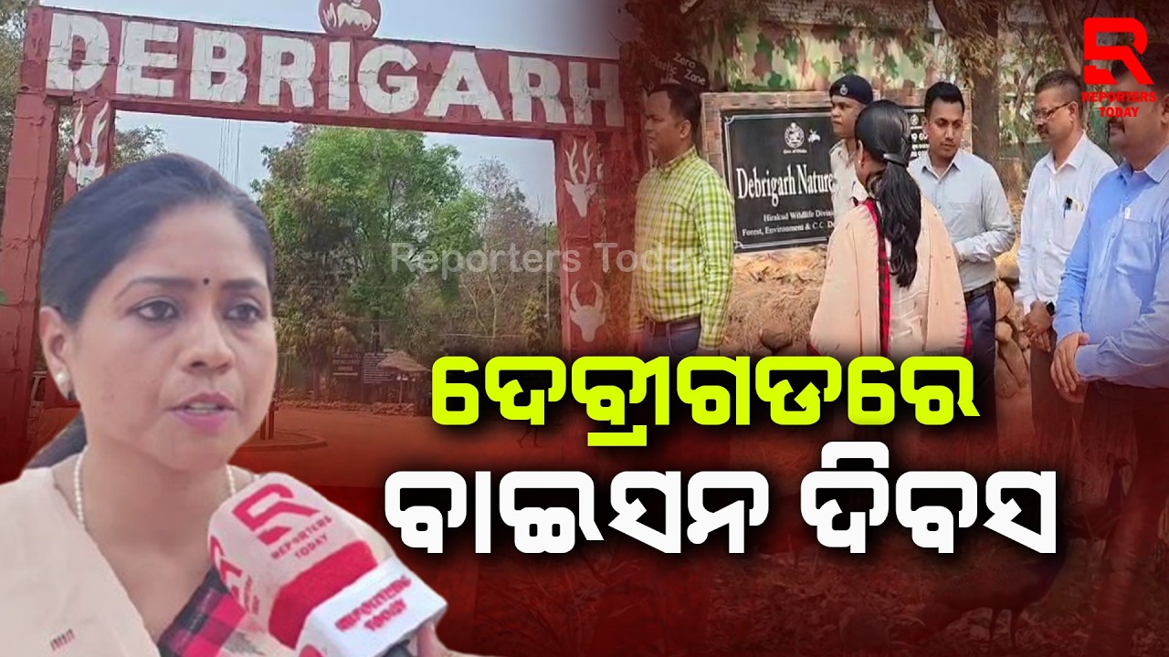 ଦେବ୍ରୀଗଡ଼ରେ ବାଇସନ ଦିବସ ପାଳିତ || Bison Day Celebrated In Debrigarh- Baragarh