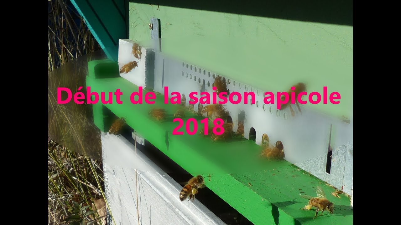 Début de la saison apicole 2018