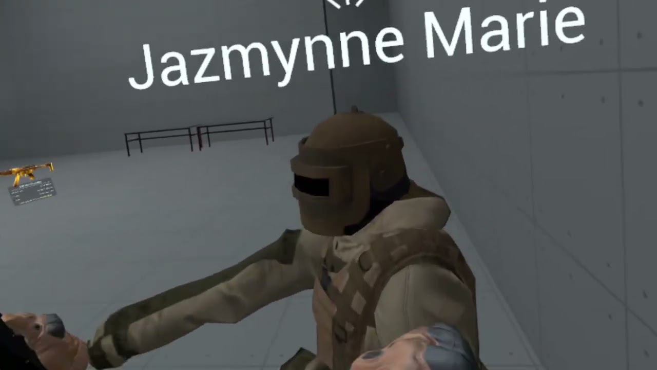 2 idiots play gun world VR.