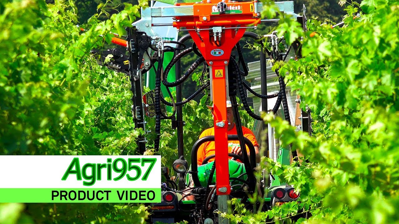DUBLE BLADE RINIERI PRUNING MACHINE | CIMATRICE BILATERALE A LAME RINIERI a ENOVITIS IN CAMPO