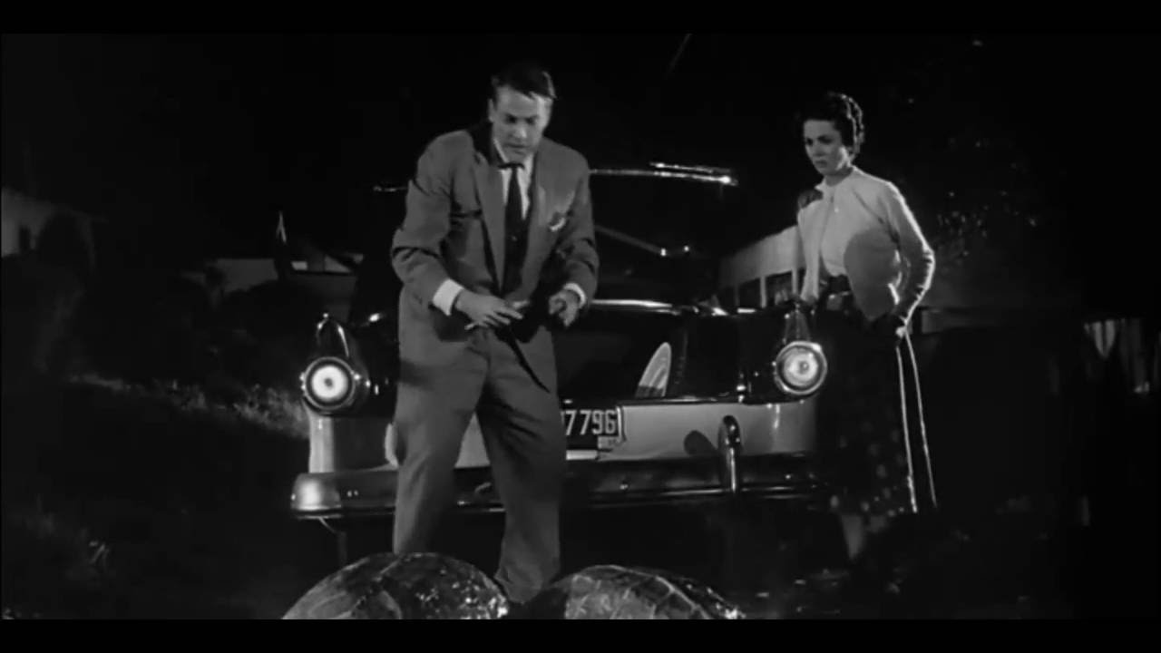 Invasion of the Body Snatchers 1956, Pods & Pod People