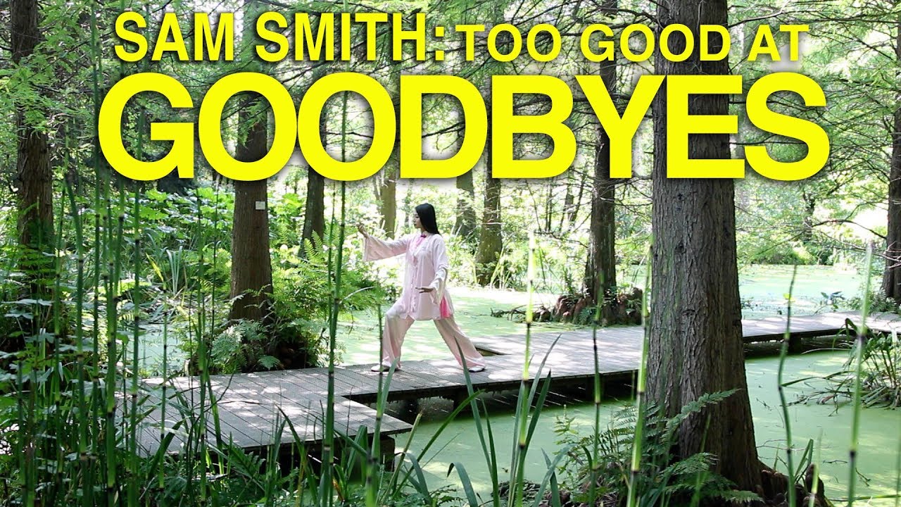 SAM SMITH-Too good at Goodbyes (TAICHI COVER by Janice Hung)