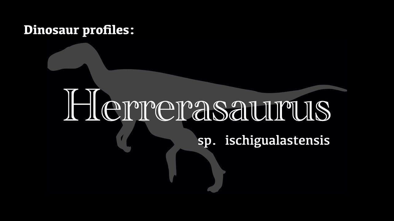 Dinosaur Profile: Herrerasaurus