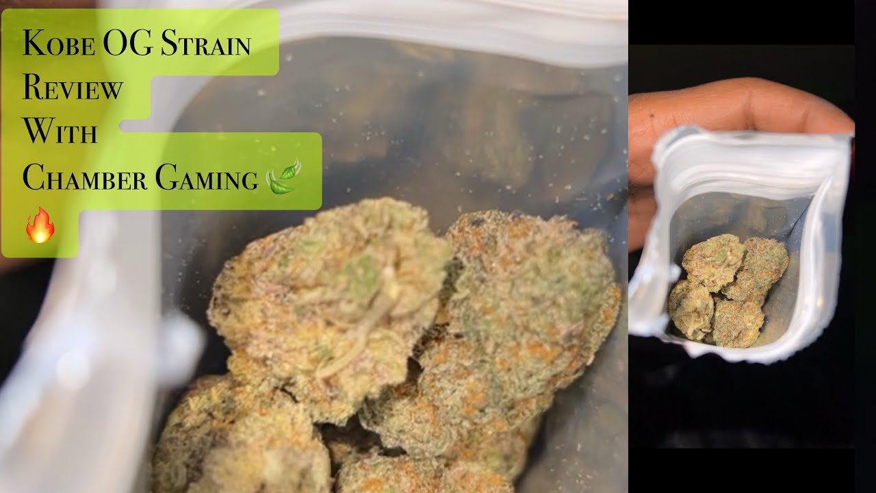 Strain Review (Kobe OG )🍃🔥 Episode 2