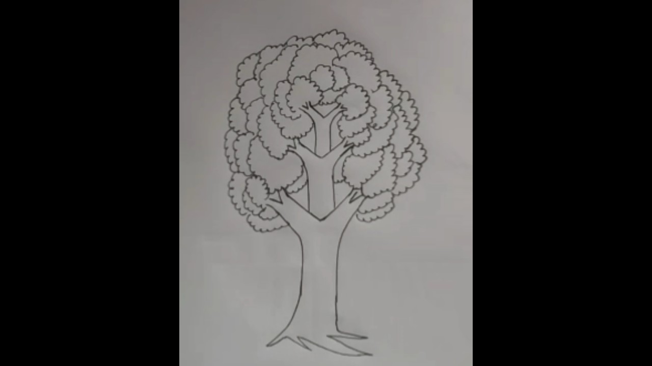 Beautiful tree drawing art 