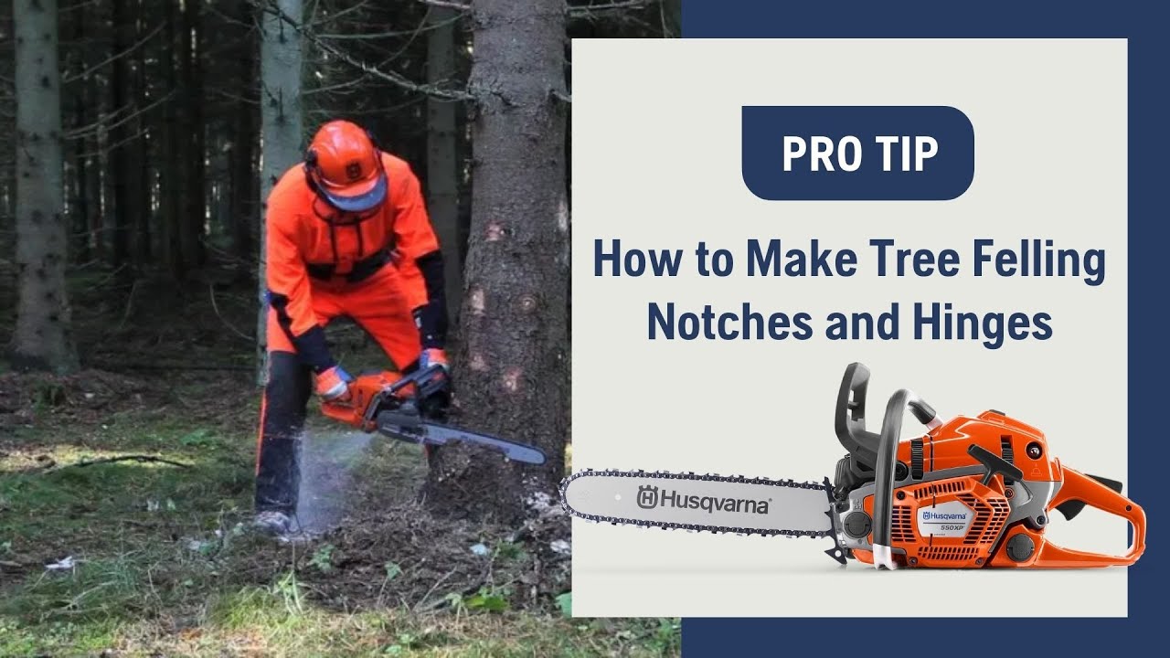 How To Make Tree Felling Notches And Hinges With A Chainsaw | Husqvarna