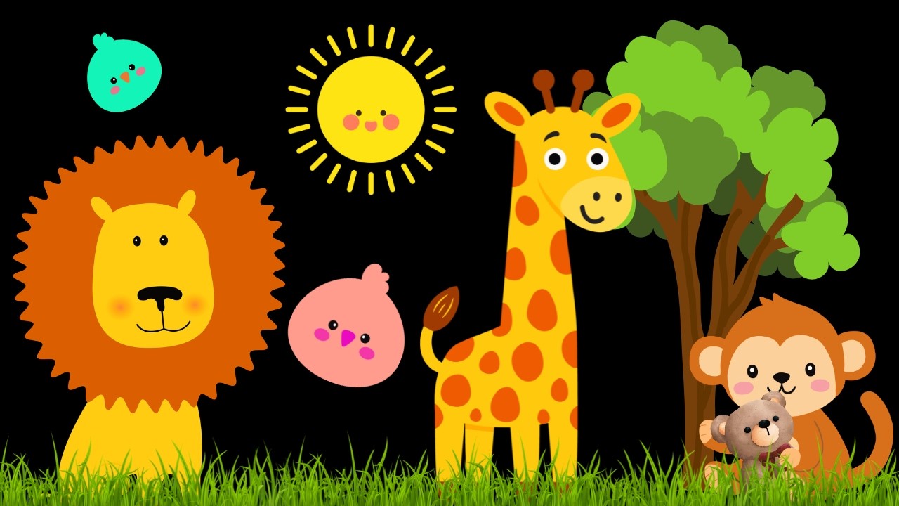 Baby Sensory Video - Tummy Time - Sensory Videos for Babies - Visual Stimulation for Newborn #baby