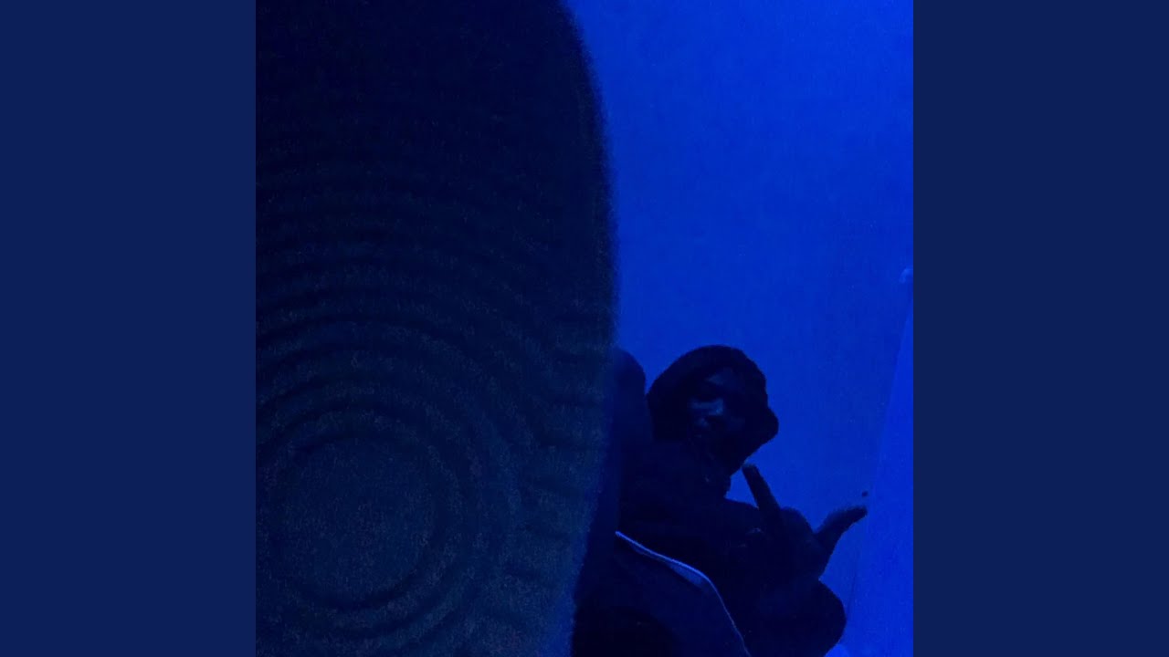 X Trust