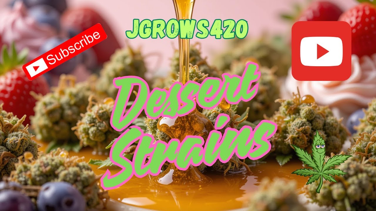 Jgrows420 THCa rosin review~The Sweetest Deal in Hemp