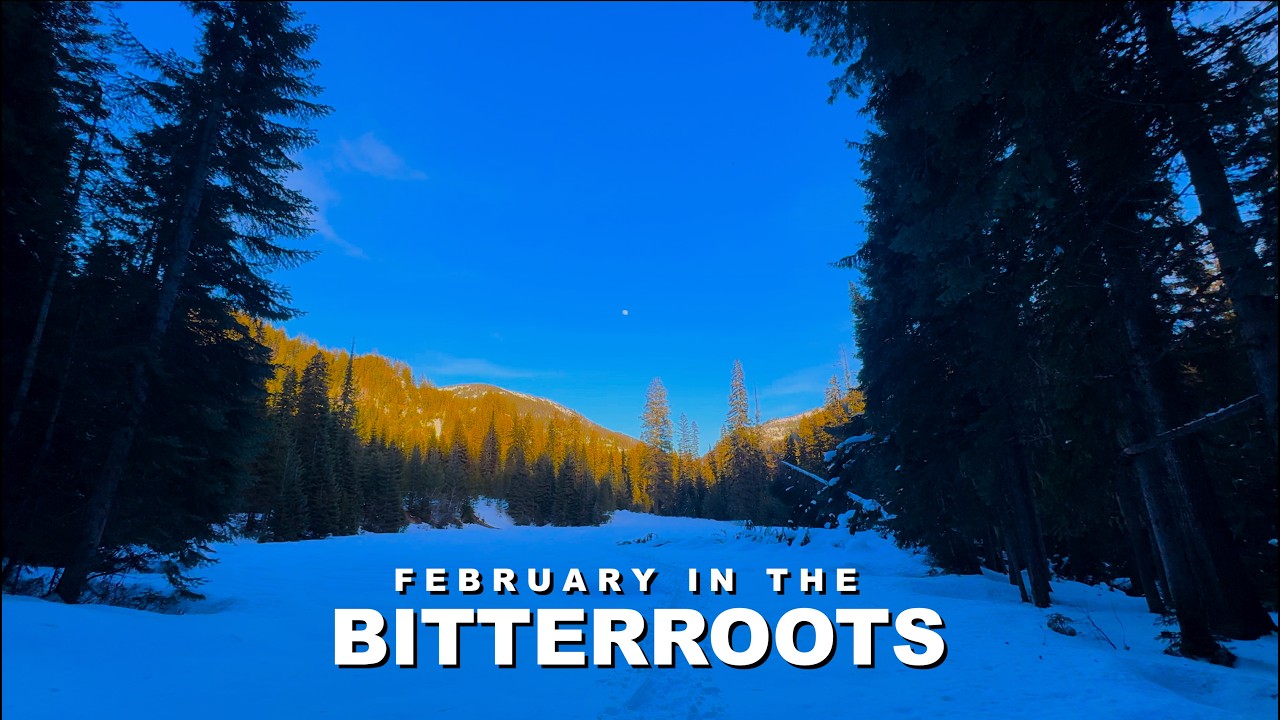 February in the Bitterroots