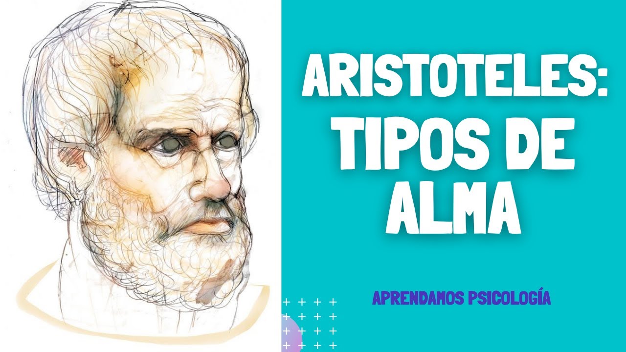 Cuáles son los Tipos de Alma de Acuerdo con Aristóteles?